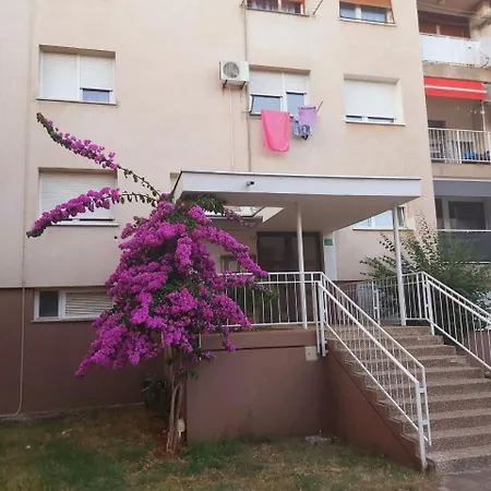 Popovic Appartement *