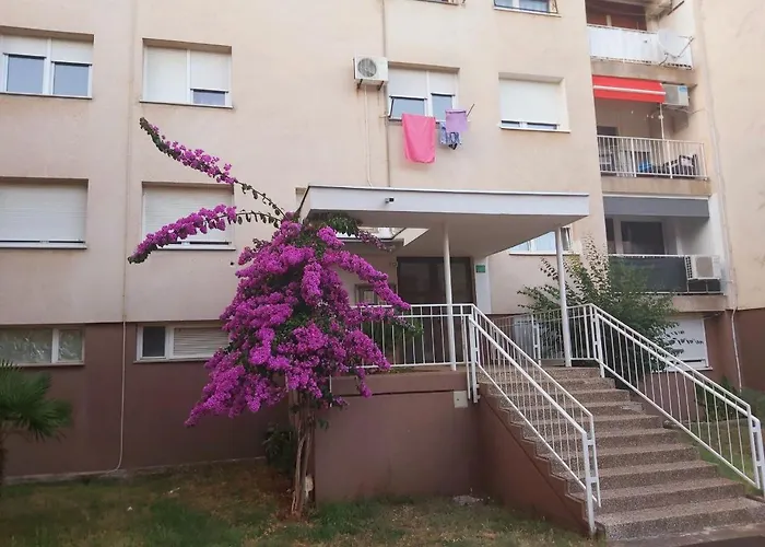 Popovic Appartement *